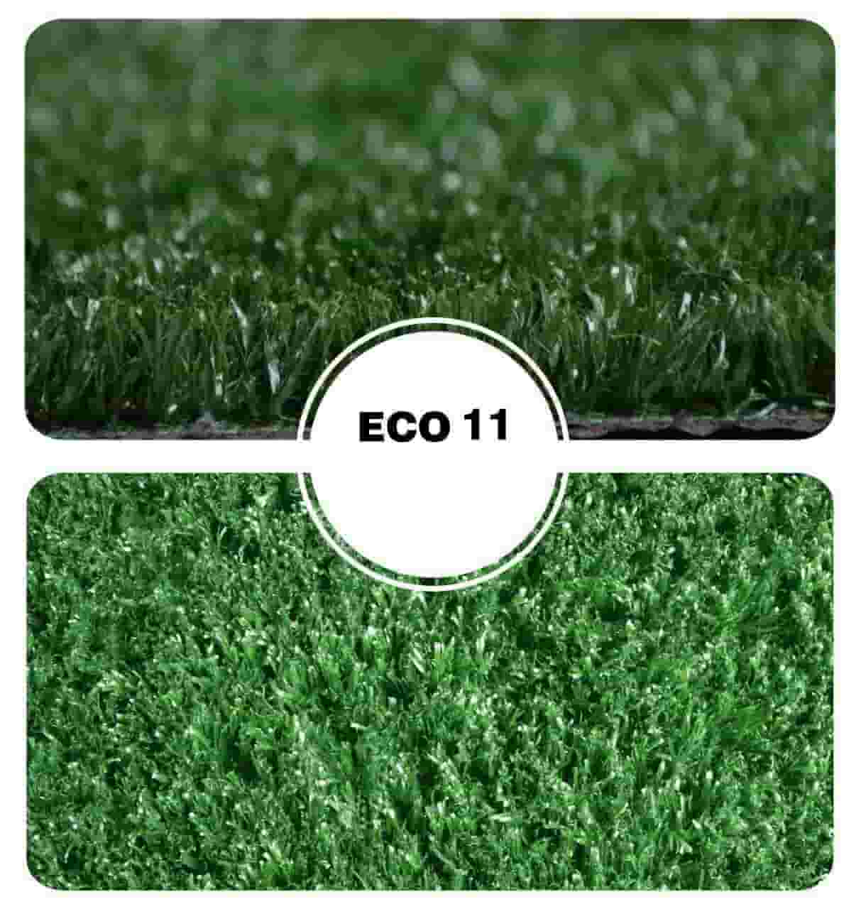 eco11